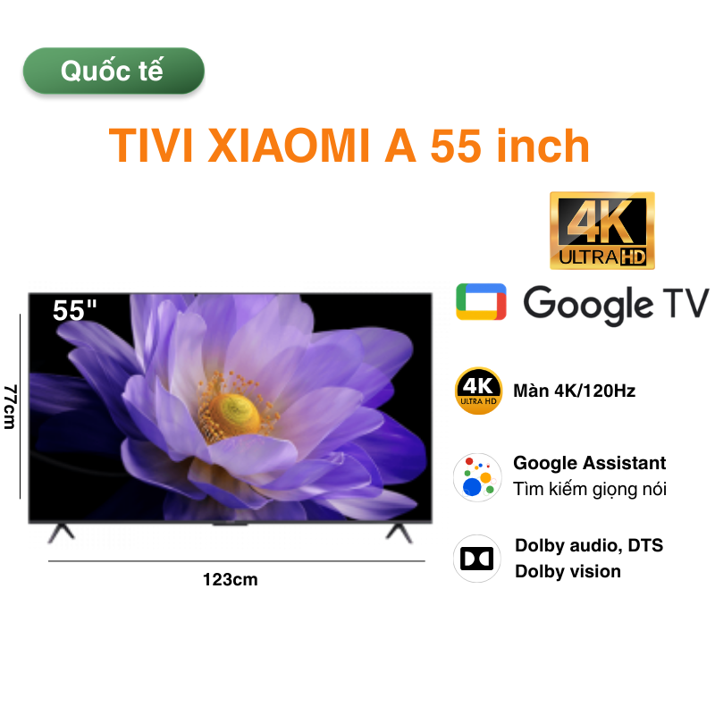 Tivi Xiaomi A 55 inch quốc tế 2026